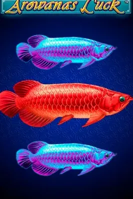 Arowanas Luck