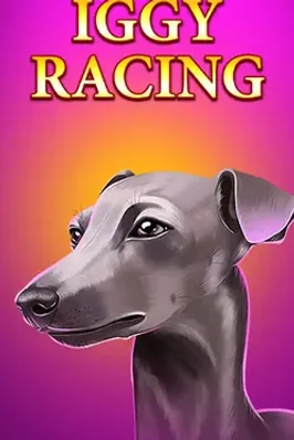 Iggy Racing