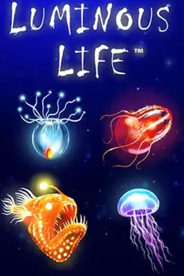 Luminous Life