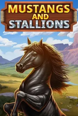 Mustang and Stallions