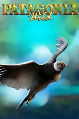 Patagonia Wilds