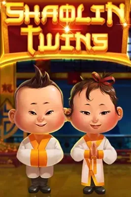 Shaolin Twins