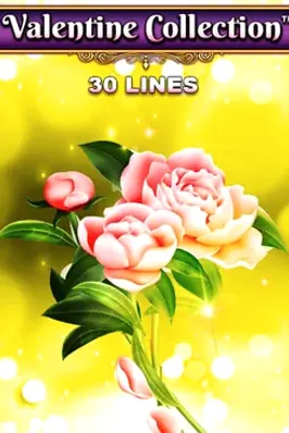 Valentine Collection 30 Lines