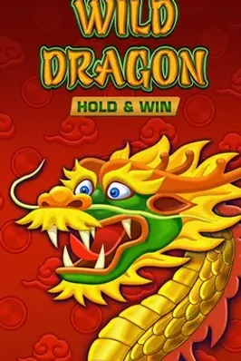 Wild Dragon HOLD & WIN