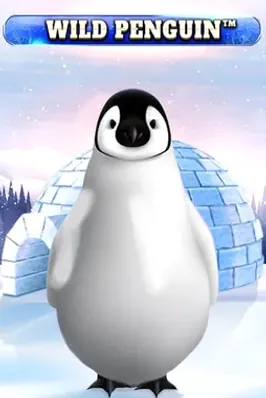 Wild Penguin