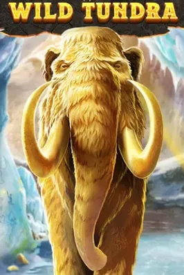 Wild Tundra